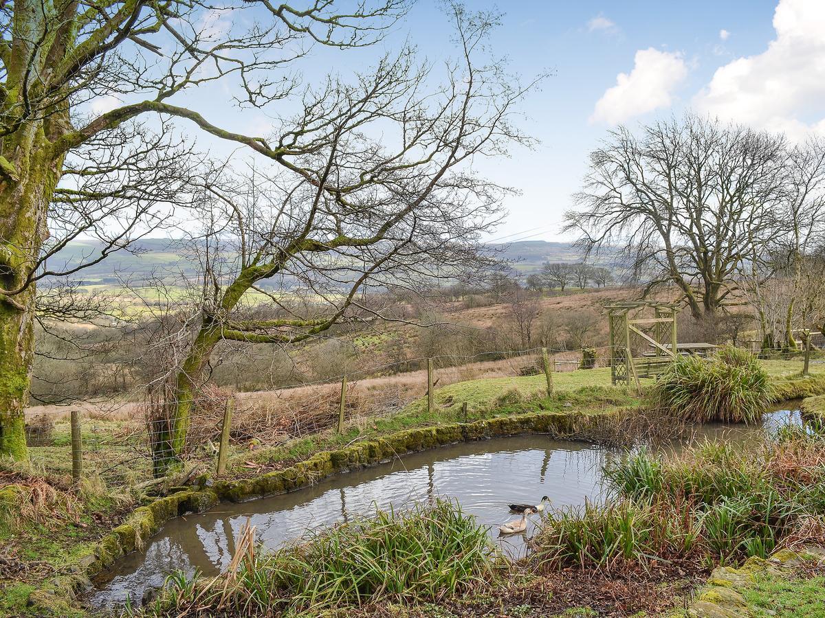 Swallow Barn Llanwrtyd Wells Eksteriør billede